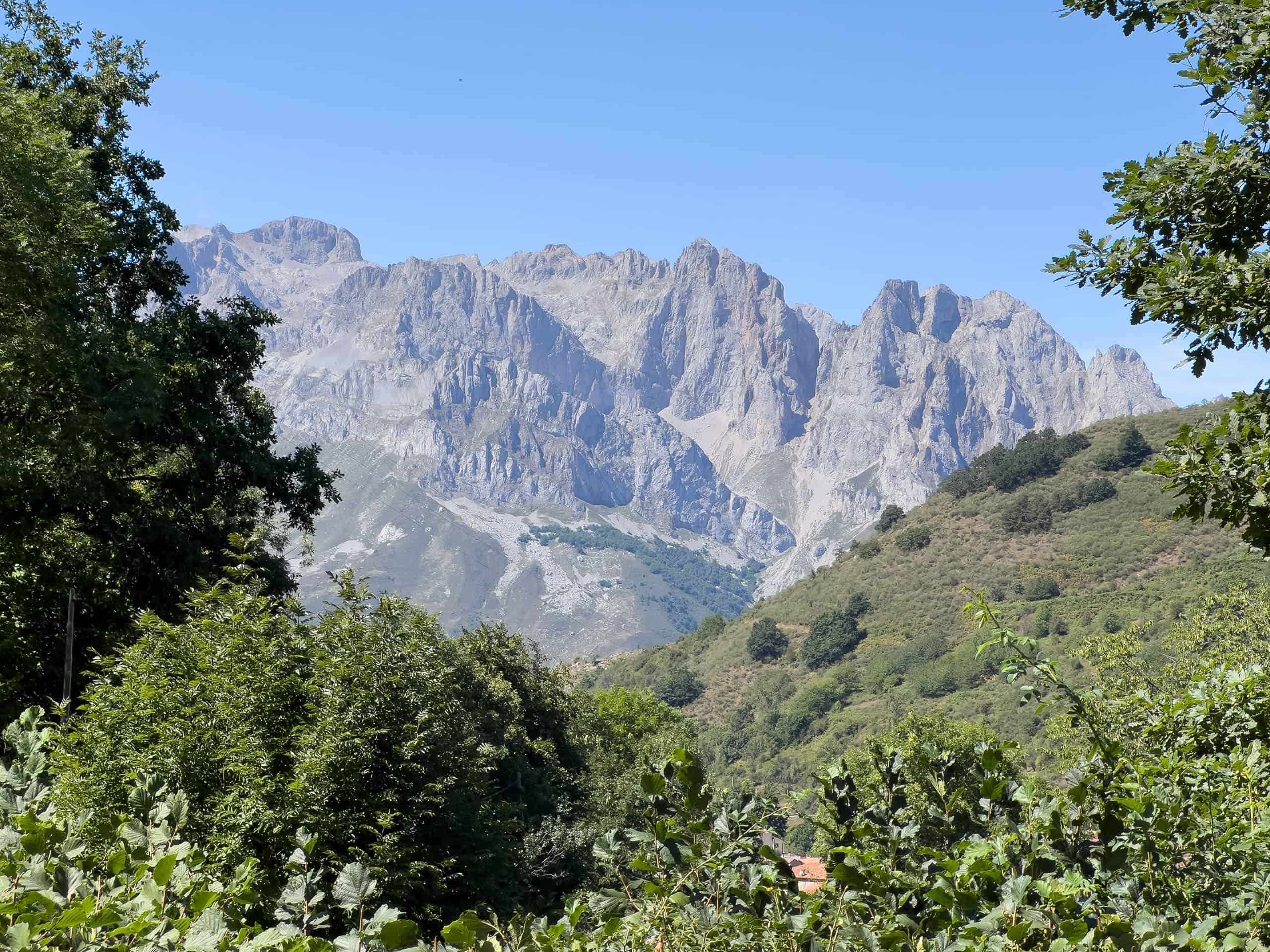 picos3.jpg