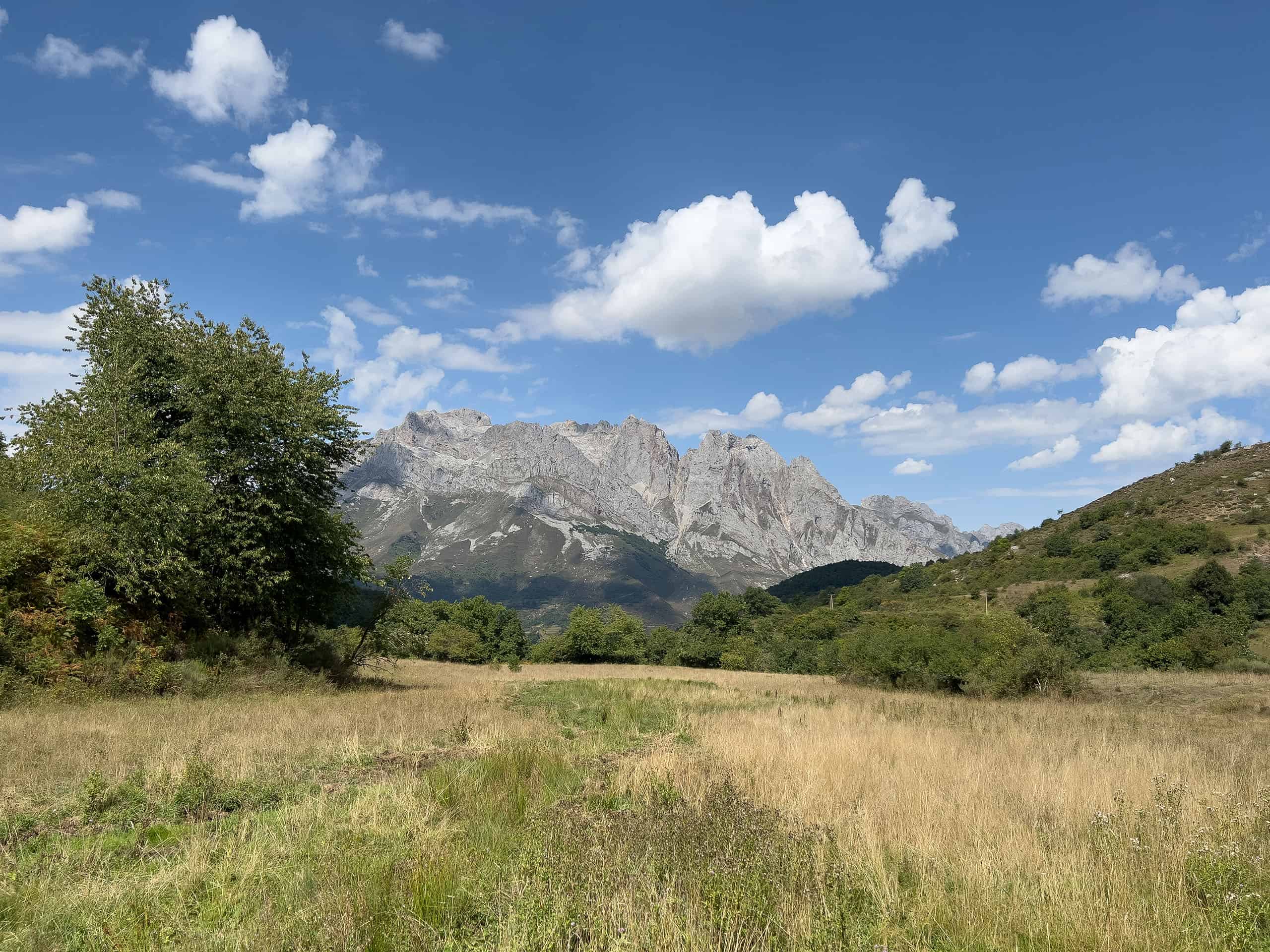 picos4.jpg