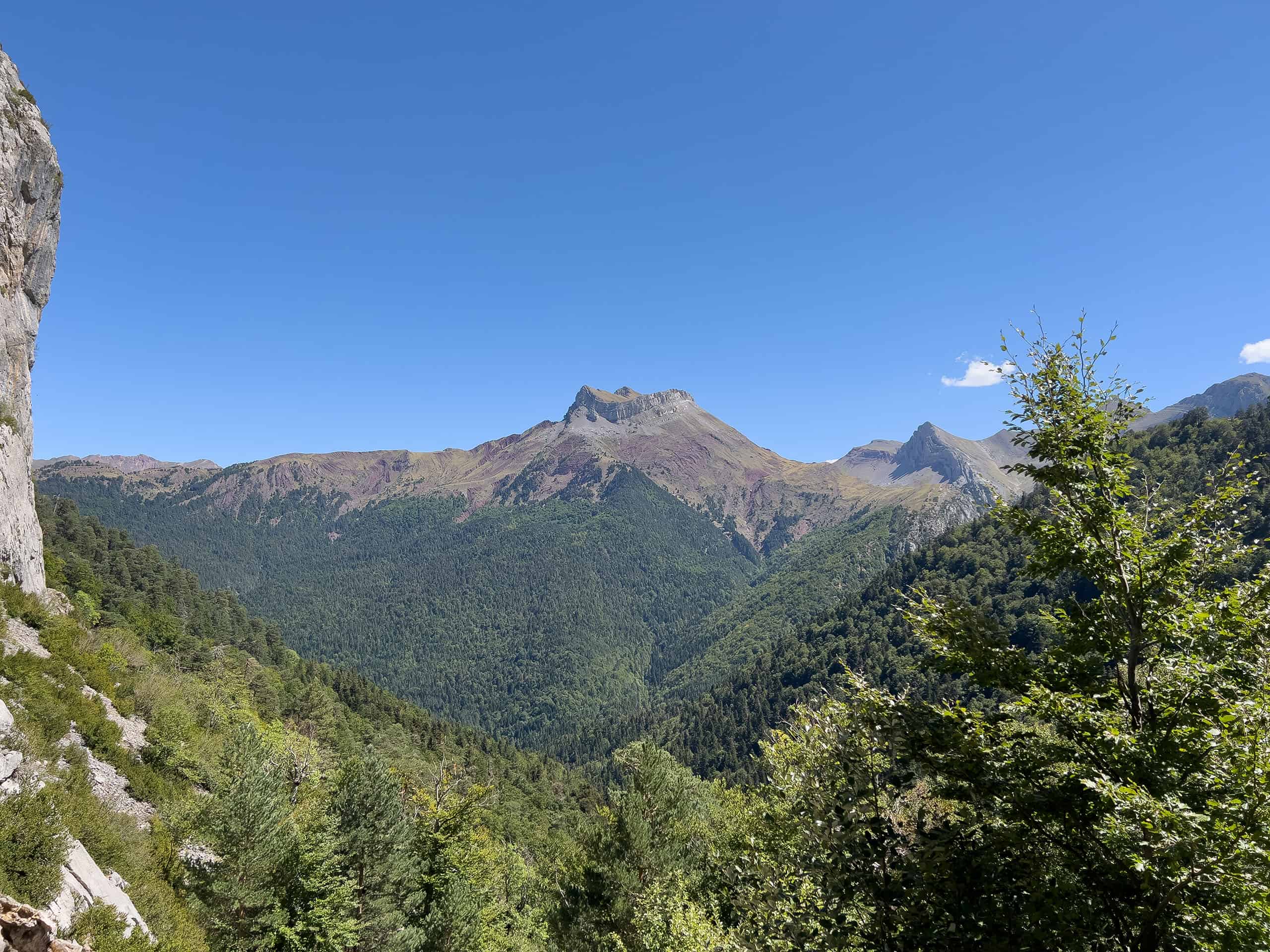 pyreneeen4
